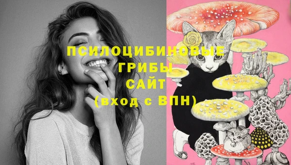 марихуана Новозыбков