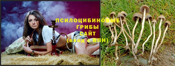 прущие крисы Новодвинск