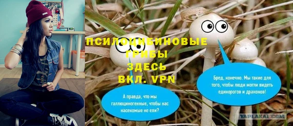 apvp Абинск