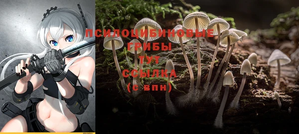 бошки Абаза