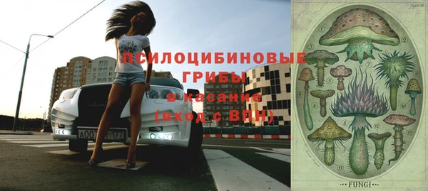 шишки Абдулино
