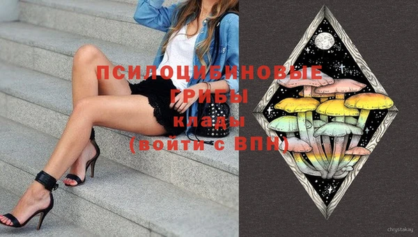 шишки Абдулино